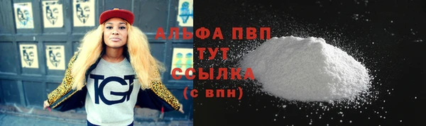 стаф Новозыбков
