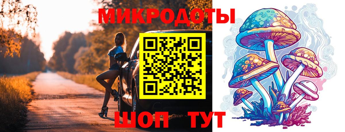 Апшеронск  Псилоцибиновые грибы Psilocybe  Вход с VPN 